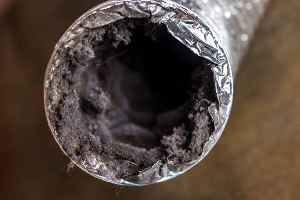 Best Local Air Duct Cleaning Services  in Manatee Road, FL